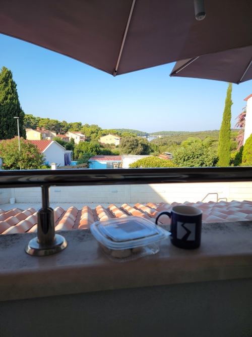 A scenic view with a mug of coffee and box of cookies